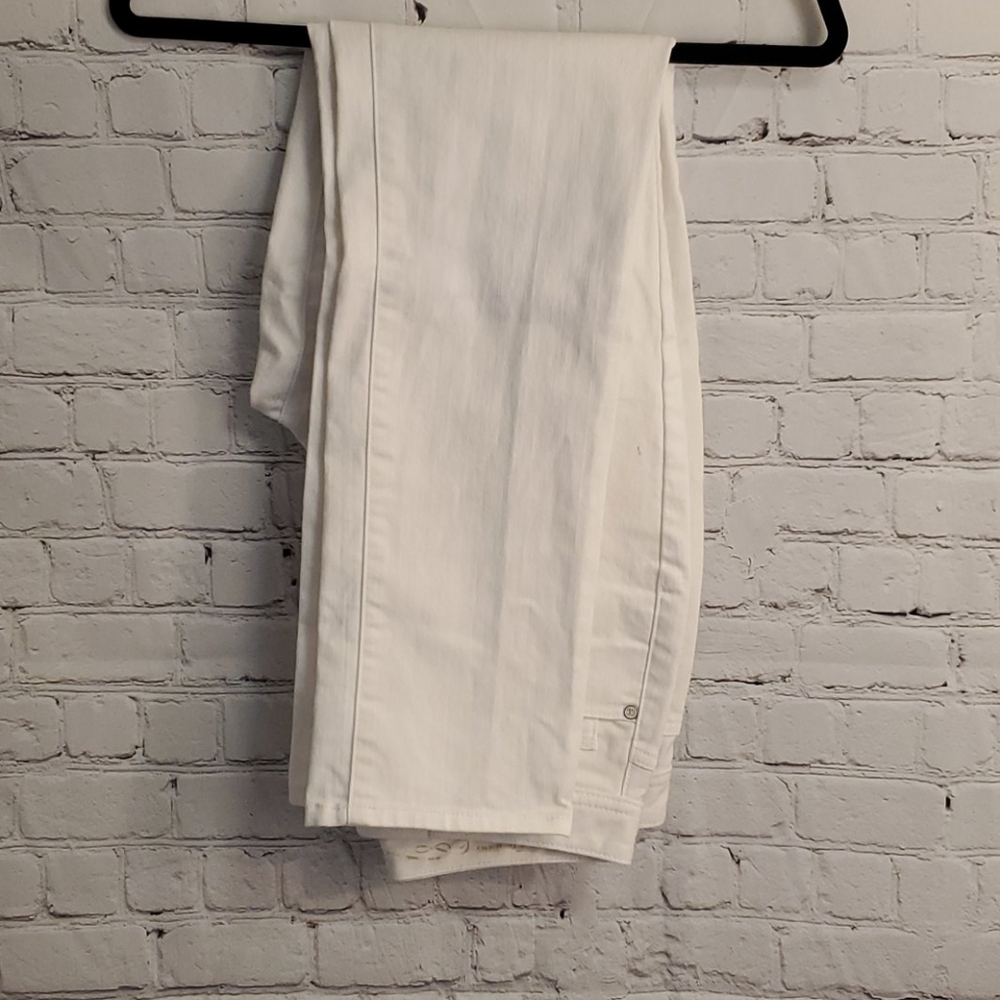 Coldwater Creek Classic Fit Women's Size 10 #F4